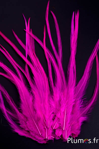 Coq Léon - 15-20 cm - fuchsia